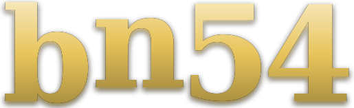 bn54 logo